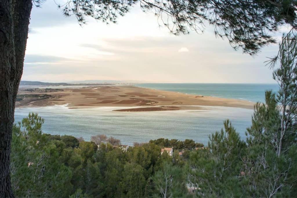 Petite Maison Confort Apartment Leucate