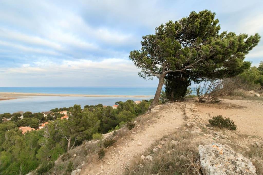 Petite Maison Confort * Leucate